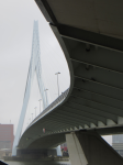 Erasmusbrücke|Erasmusbrug